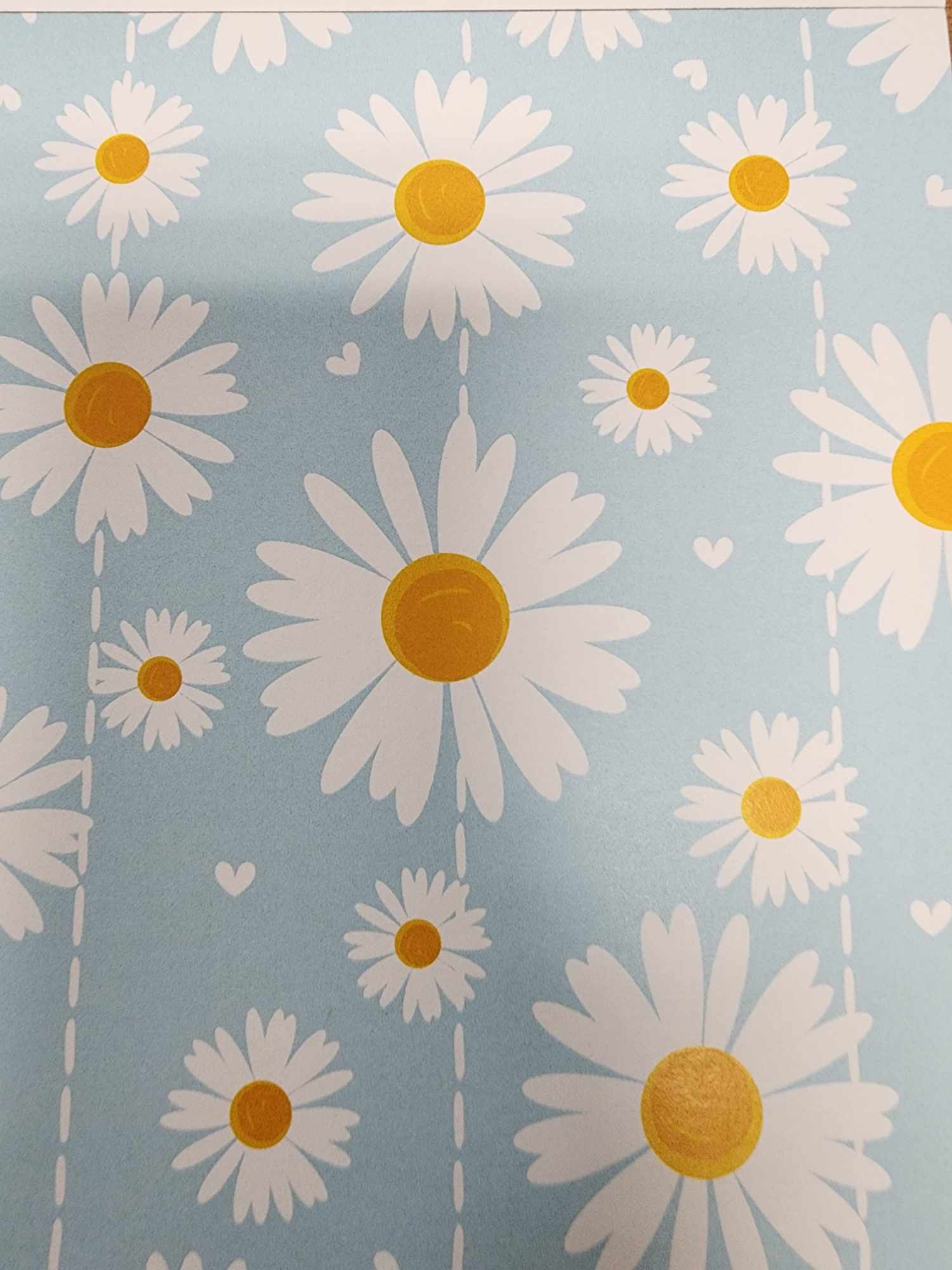 Daisies 6 x 6 Paper Pack