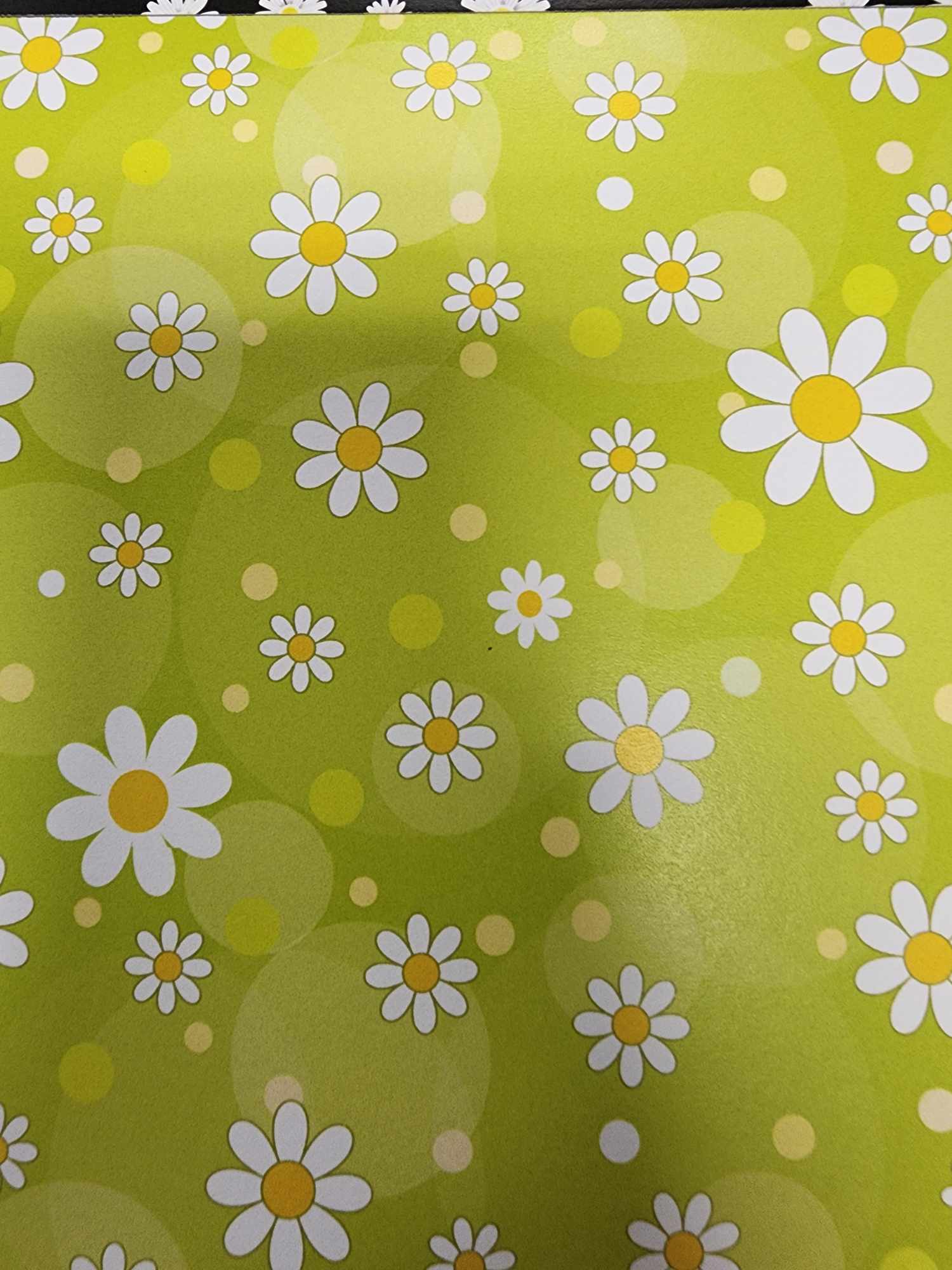 Daisies 6 x 6 Paper Pack