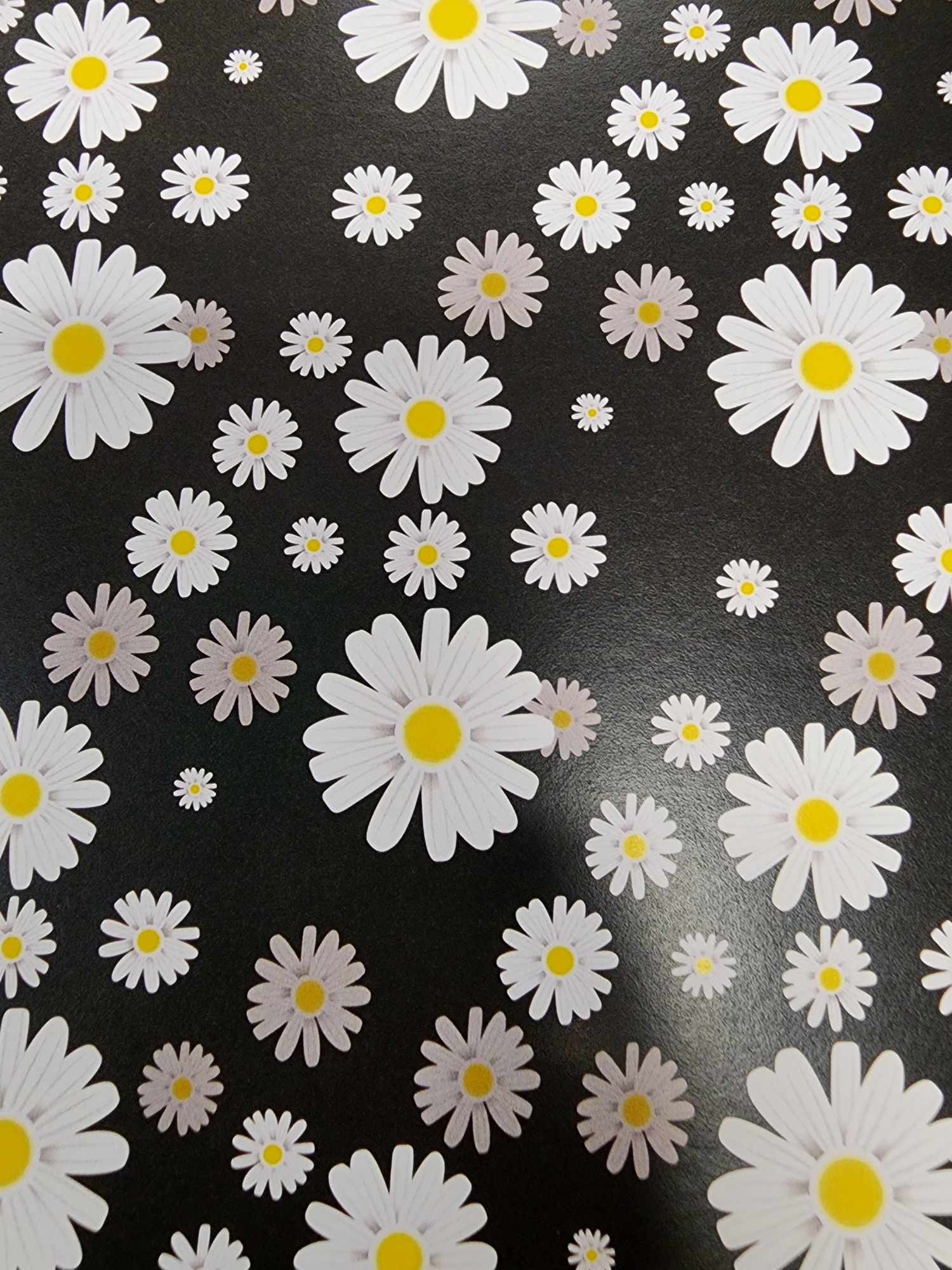 Daisies 6 x 6 Paper Pack