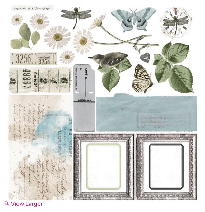 Moonlit Garden 12 x 12 Collection Pack